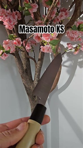 Didn"t see a Masamoto KS 165mm Petty Shirogami2 that often 😍