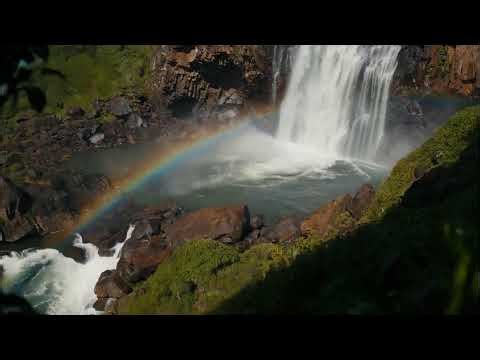 Militant Reggae Selection | Revolutionary Riddims 🎯