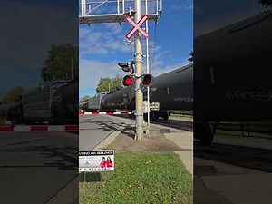 CP RAIL FREIGHT TRAIN passing on kipling ave in vaughn on oct 11/2025