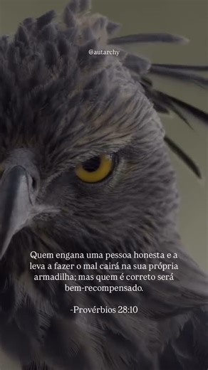 Autarchy™ 🗿 on Instagram: "Siga: @the.autarchy . . . . . . . . . . . . . . . . . . . . . . . . . . . #SuperacaoPessoal #CrescimentoInterior #DesenvolvimentoPessoal #MelhorVersaoDeMimMesmo#AutossuperaçãoDiária #PersistenciaEProgresso #TransformacaoPessoal #MetaDeCrescimento #EvolucaoConstante #MotivacaoDiaria #marketing #marketingdigital #foco #vendas #vendasonline #vendasinstagram #ecommercebusiness #ecomerce"
