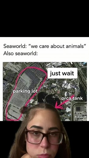 #greenscreen sea worlds tanks part 2 #greenscreen #seaworldsucks #dontbuyaticket #tilikum #freerussianwhales #seaworld