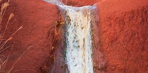 Dr. Pimple Popper Just Emptied The Infamous Waterfall Cyst Once And For All