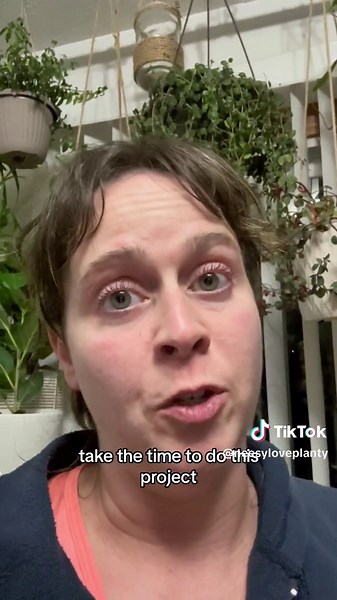 Utilize Your Plant Shelves with This Inexpensive DIY Plant Shelf Upgrade