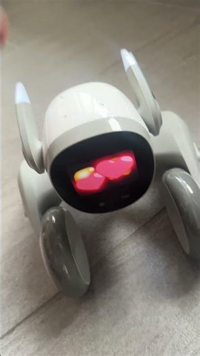 I have a new dog, but it's a robot! Enjoy ;)