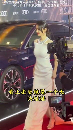 Behind the Lens: The Realities of FEMA's Struggles Captured