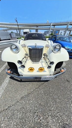 Extremely rare!? We asked Mitsuoka car owners.