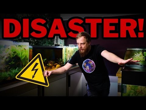 My Fish Room is Shutting Down... Here's What Happened