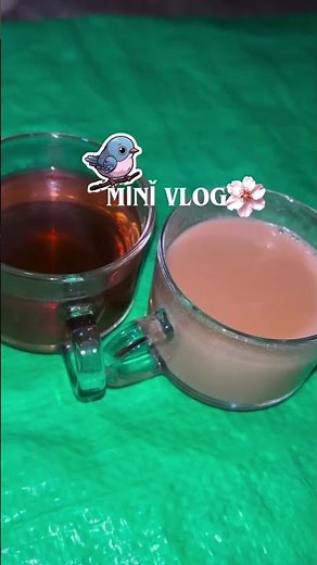 Morning vibes ✨🌷 #morning #vibes #shortsvideo