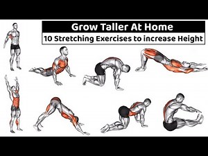Grow Taller at Home| 10 Stretching Exercises to Increase Height