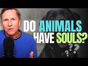 Do Animals Have Souls? What Near-Death Experiences Reveal | Imagine Heaven Podcast with John Burke