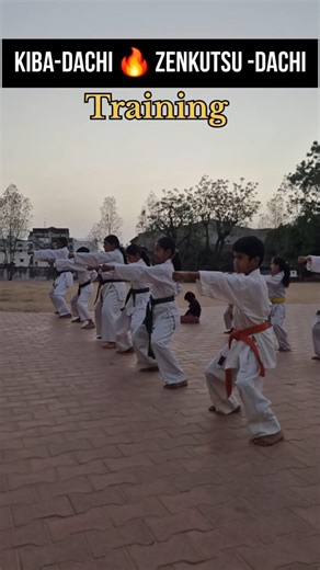 Combination Kihon 🔥 | #shorts #championfightershorts