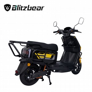 [Hot Item] Blitzbear E-Bike Crash Bar Protection
