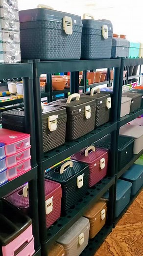 Dollarplastic on TikTok