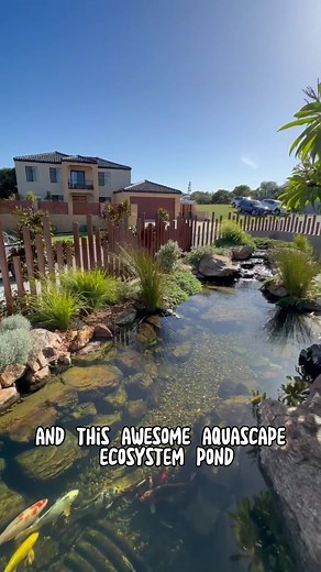 Greg Wittstock on TikTok