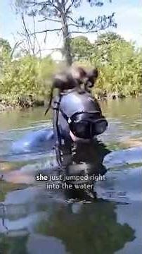 Tiny kitten was saved from river #shorts