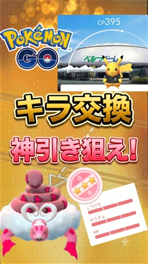 【PokemonGO】キラ交換で「激レアピカチュウ」キラ100を狙え!【ブルックGO】