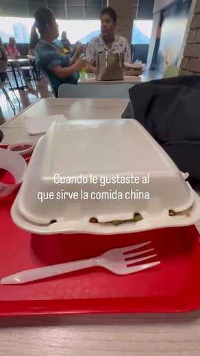 Deliciosa comida china: recetas y opciones para cenar
