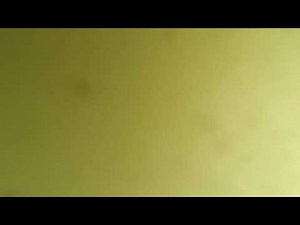 Fat guy sings Moana in a canoe Full Video (Original)