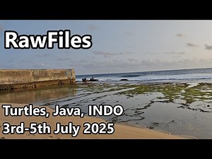 【RawFiles：ジャワ島タートルズ/フリーサーフィン動画】2025年7月3～5日撮影surfing/surftrip/indonesia/java/turtles