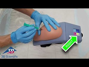 Intramuscular Injection Simulator - Upper Arm