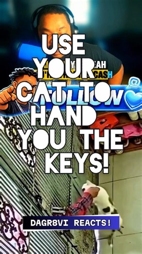 😂🐱 Use Your CAT To Hand You The Keys! 😳🔥 🐱😂