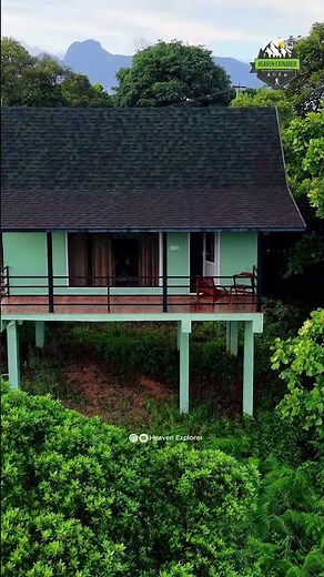 Just 4 Hours from Coimbatore | Gene Pool Eco Tourism😍