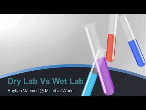 Dry Lab Vs Wet Lab