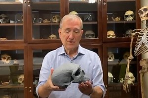 Ancient skull discovered in China could shake up the timeline of human evolution