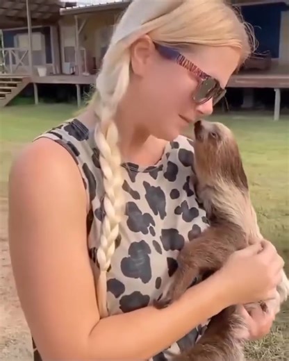 my love sloth | I Love Sloth