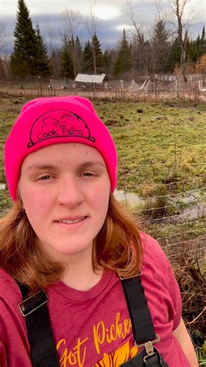 Welcome to the Adirondacks, where the weather changes in the blink of an eye.⛅️ | The Cook Farm