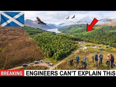 Scotland Planted 2 Million Trees in a Dead Highland —What Showed Up 35 Years Later Was Extraordinary
