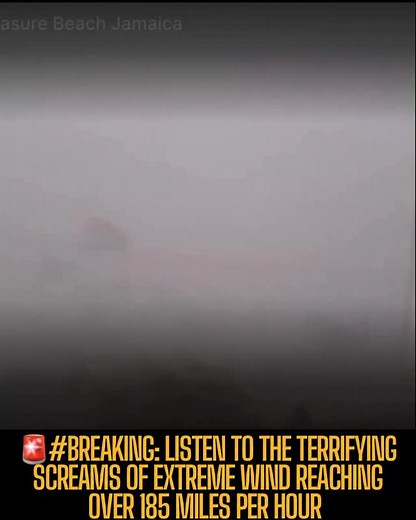 #BREAKING: Listen to the terrifying screams of extreme wind reaching over 185 miles per hour as a catastrophic, life-threatening Category 5 hurricane unleashes its full force on Treasure Beach, Jamaica. The storm’s powerful eyewall is now directly over the area, causing widespread destruction. | California Department of Memes | Facebook