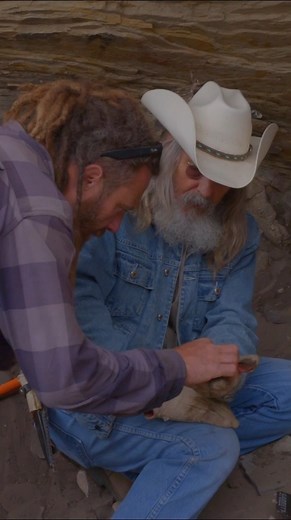 187K views · 3.6K reactions | Wow, what a find! 朗滋 See what other treasure the crew digs up on Mystery at #BlindFrogRanch, Thursday at 10/9c on TRVL. | Travel Channel | Facebook