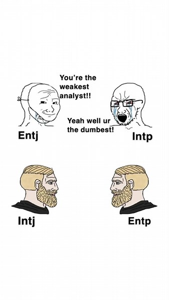 MBTI Meme Analyst fight #entj #intp #intj #entp | entj
