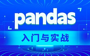 pandas入门与实战，零基础入门Python数据分析
