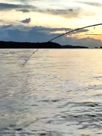 The ONLY Lure a Barracuda Can’t Ignore! 🦷✨