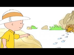 Caillou y la Aventura del Safari | Caillou en Español - WildBrain