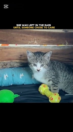 In her hardest moment, someone became her hope.💔😿