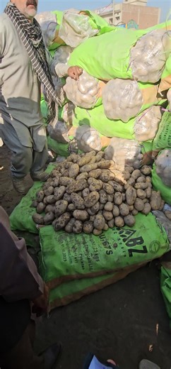 Aalo ki boli Sabzi mandi okara 0307-0617248 date 26.12.2025 #sabzimandiokara #Pakistan #punjab #okara #potato