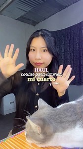 100K views · 36K reactions | Ahora ya puedo continuar con la decoración de mi cuarto朗 #haul #hauls #centrodelima #lima #compras #lamparas #perú #compritas | KeyLizz-Vlogs | Facebook