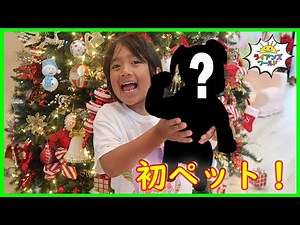 クリスマスプレゼントで初ペット！？ ライアンにサプライズギフトあげちゃいました。