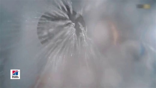 Hill's Pet Nutrition TV Spot, 'Because You're Only Human: The Bath'