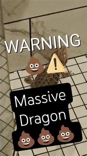 Do Not Click if you're squeamish 🫣 #beardeddragon #funny