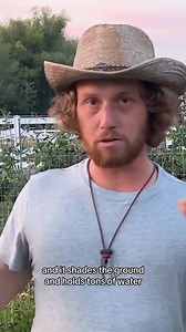 Stop depending on fertilizer and grow healthier food. Start a regenerative garden! #fyp #survival #homestead #selfsufficien | Garden Idea