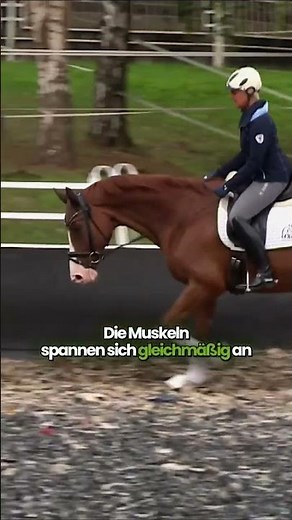 Riding forward and down correctly – Uta Gräf explains what's important 🐴