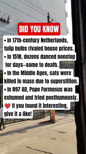 “History’s Strangest Moments You Won’t Believe Happened!”!