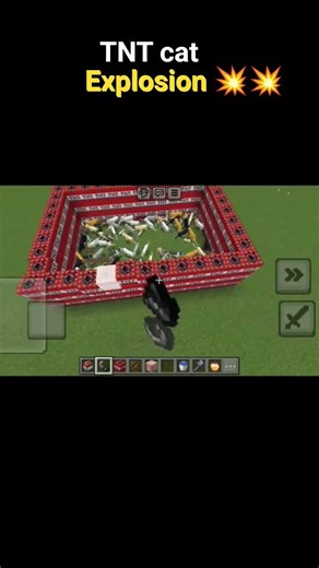 TNT cat explosion