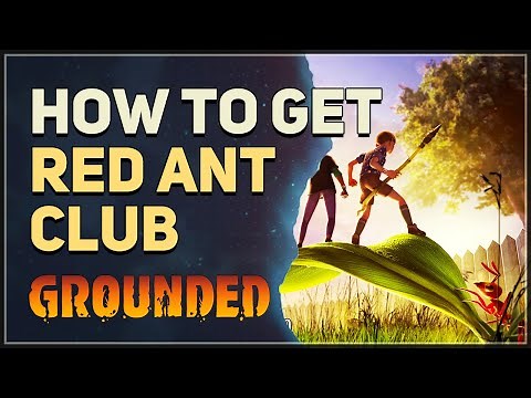 How to get Red Ant Club Grounded