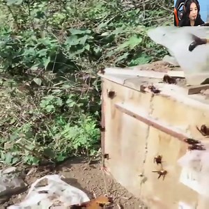 39K views · 115 reactions | large livestock farms | Nature Love | Facebook