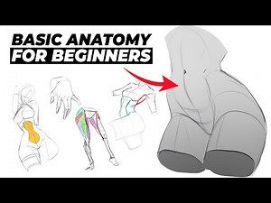 How to QUICKLY Draw Basic Anatomy!!